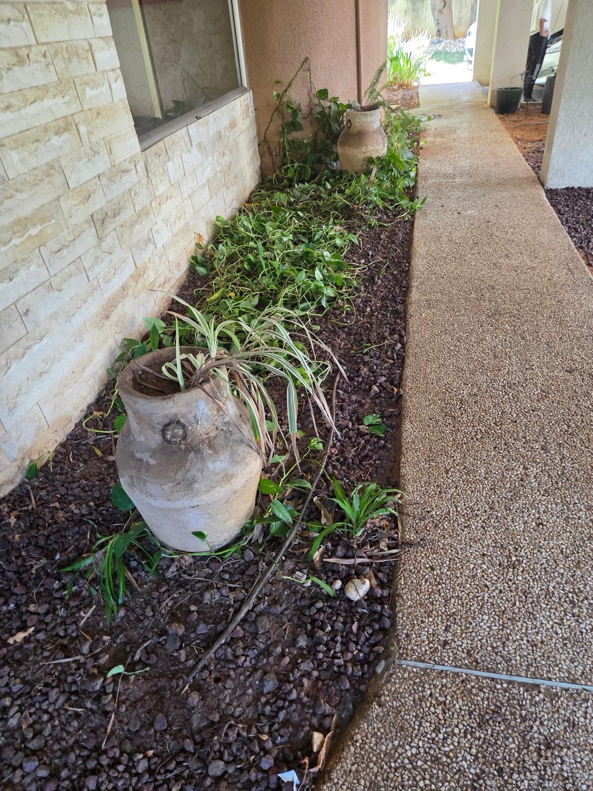 עבודת ניקיון ואחזקה